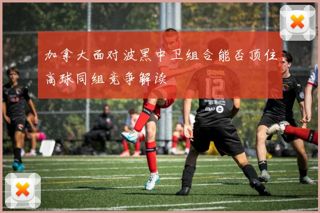 加拿大面对波黑中卫组合能否顶住高球同组竞争解读