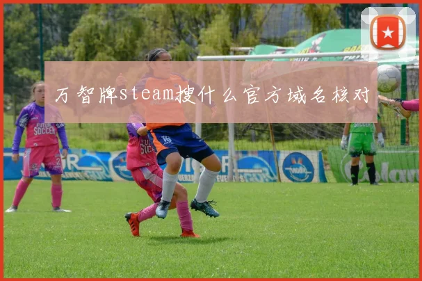万智牌steam搜什么官方域名核对